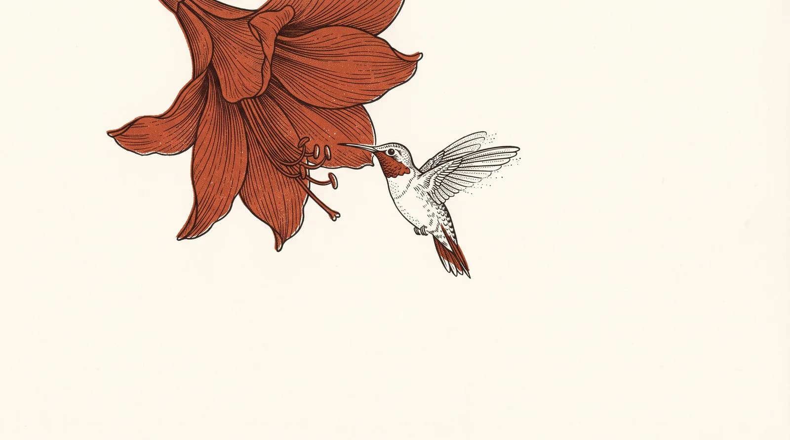 A hummingbird drawn in fine white linework, hovering at the mouth of an enormous clay-red lily that runs off the top of the frame. The bird is a fraction of the flower's size, and the lower half of the paper is left empty.